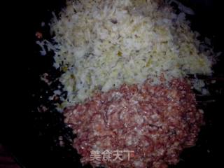 酸菜猪肉包的做法步骤：4