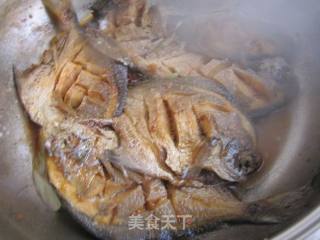 干烧鲳鱼的做法步骤：5