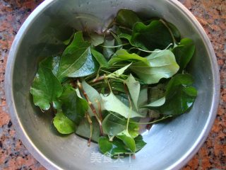 治风热感冒——鱼腥草茶的做法步骤：2