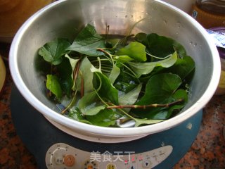 治风热感冒——鱼腥草茶的做法步骤：4