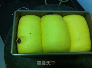 胡萝卜蔓越莓奶香土司的做法步骤：10