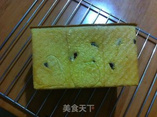 胡萝卜蔓越莓奶香土司的做法步骤：12