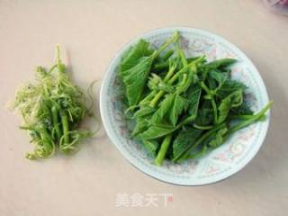 南瓜苗汤的做法步骤：4