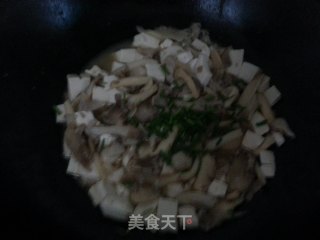 秀珍菇烩豆腐的做法步骤：4