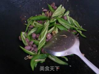 辣椒炒鸽子肾的做法步骤：4