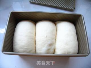 自制百搭好吐司——纯奶白吐司的做法步骤：10