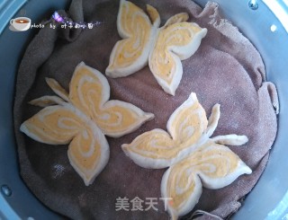 双色蝴蝶馒头的做法步骤：14