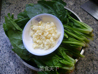 香蒜菠菜的做法步骤：1