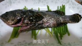 清蒸小龙趸的做法步骤：2