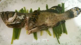 清蒸小龙趸的做法步骤：3