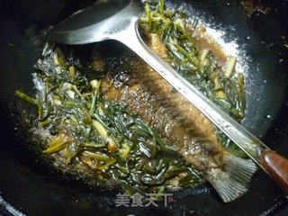 香葱烧河鲫鱼的做法步骤：11