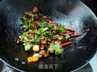面酱烧田螺肉的做法步骤：7