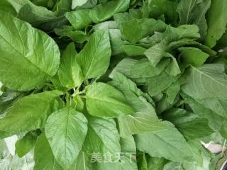 鲜肉苋菜包的做法步骤：7