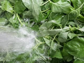 鲜肉苋菜包的做法步骤：8