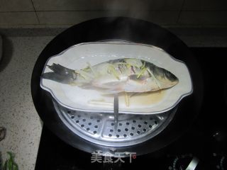 清蒸葱香鲫鱼的做法步骤：6