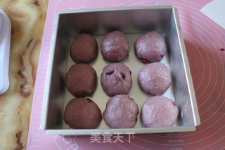 紫薯蔓越莓餐包的做法步骤：8