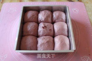 紫薯蔓越莓餐包的做法步骤：9