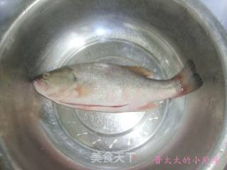 清蒸鲈鱼的做法步骤：1