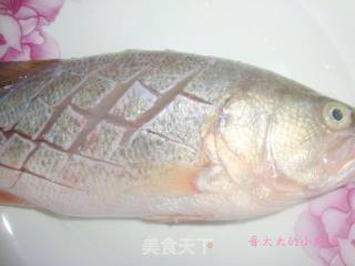 清蒸鲈鱼的做法步骤：2
