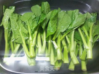 盐水菜心的做法步骤：2