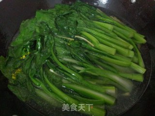 盐水菜心的做法步骤：6