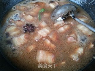 章鱼红烧肉的做法步骤：9
