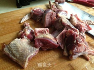 【茶树菇炖鸽子】的做法步骤：3