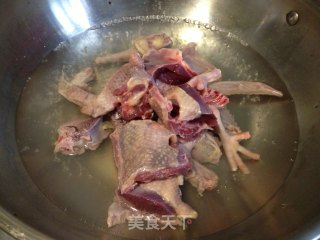 【茶树菇炖鸽子】的做法步骤：4