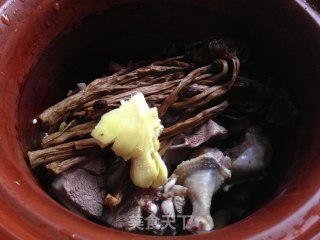 【茶树菇炖鸽子】的做法步骤：6