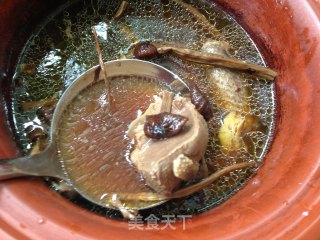 【茶树菇炖鸽子】的做法步骤：12