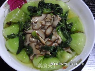 鲜香菇炒油菜的做法步骤：6