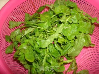 荠菜烩蘑菇的做法步骤：2