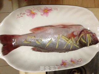 蒸鲈鱼的做法步骤：3