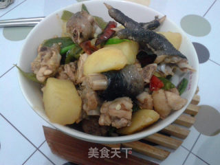 土豆烧鸡的做法步骤：9