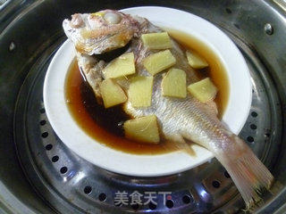 清蒸铜盆鱼的做法步骤：12