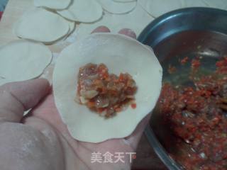 胡萝卜羊肉饺子的做法步骤：14