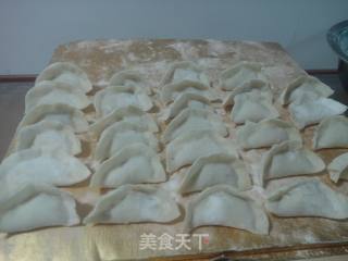 胡萝卜羊肉饺子的做法步骤：15