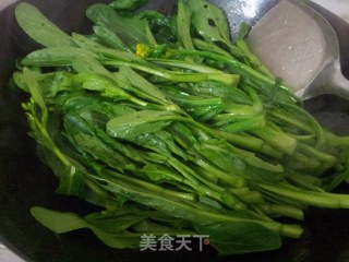 清炒菜心的做法步骤：2