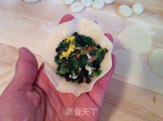 小白菜素馅煎饺的做法步骤：10