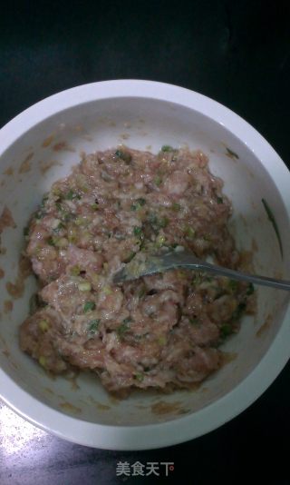 猪肉萝卜馅饼的做法步骤：3