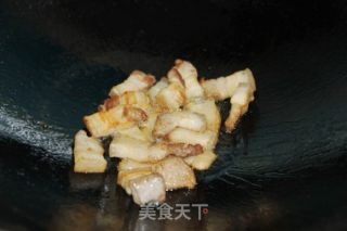猪肉炖粉条的做法步骤：4