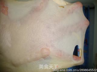 肠仔小面包的做法步骤：7