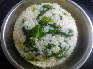诺诺的菜拌饭的做法步骤：5