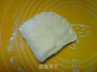 田园京都肉饼的做法步骤：8