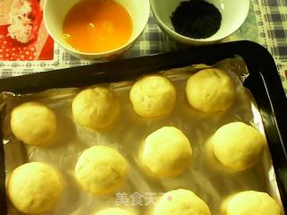 芝麻月饼的做法步骤：5