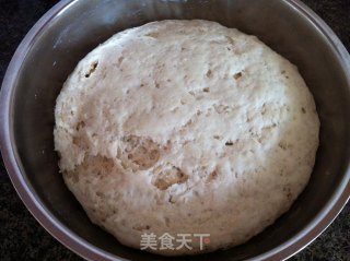 芸豆猪肉包子的做法步骤：8