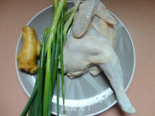 姜葱鸡的做法步骤：1
