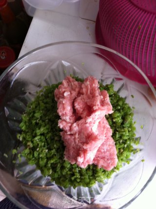 猪肉豆角水饺的做法步骤：9