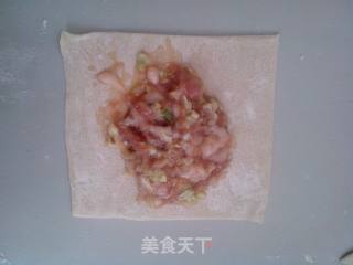 《龙抄手》——川味的做法步骤：9
