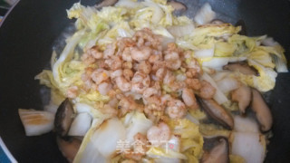 白菜虾仁的做法步骤：10